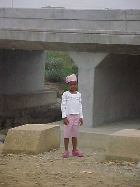 4999_15163.jpg