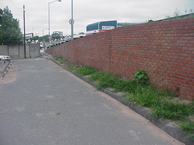 4999_161010.JPG