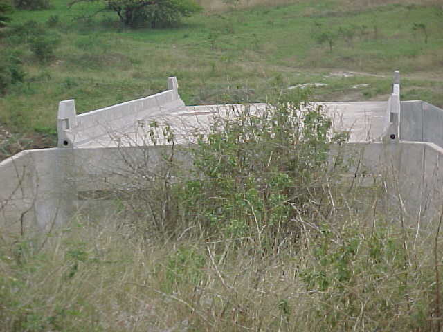 4999_211551.JPG