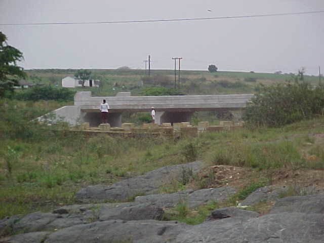 4999_231545.JPG