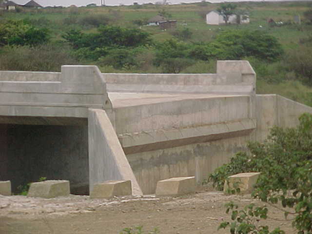 4999_241546.JPG