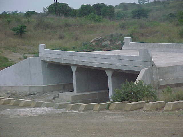 4999_25150.JPG