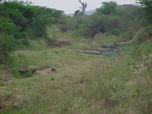 4999_271546.JPG