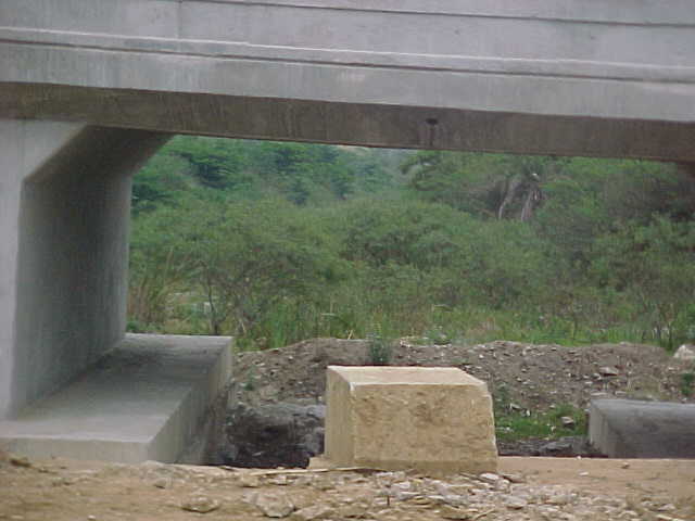4999_271559.JPG