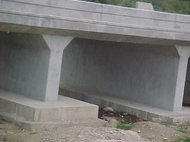 4999_281518.JPG