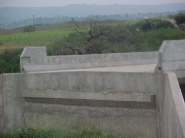 4999_281559.JPG