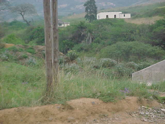 4999_291515.JPG