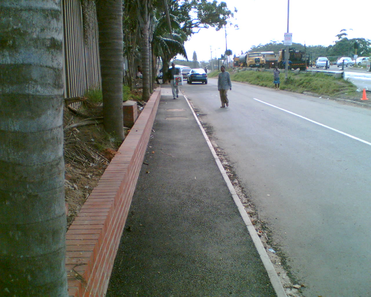 4999_301620.jpg