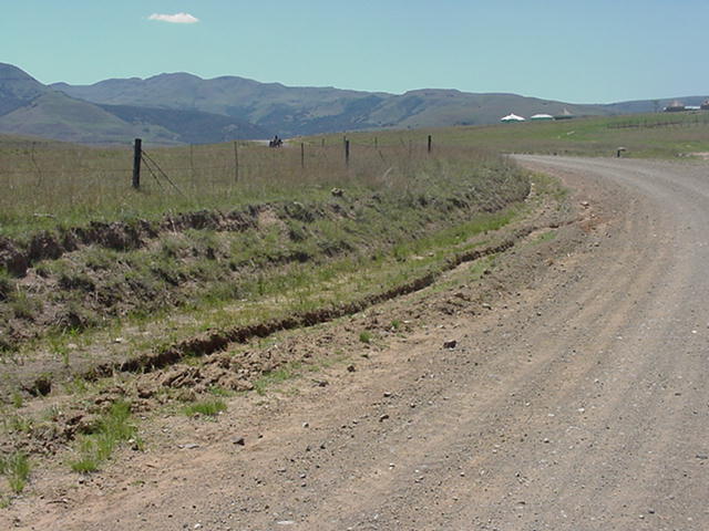 4999_331529.jpg