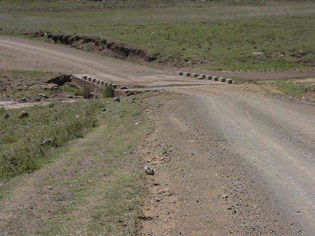 4999_331546.jpg