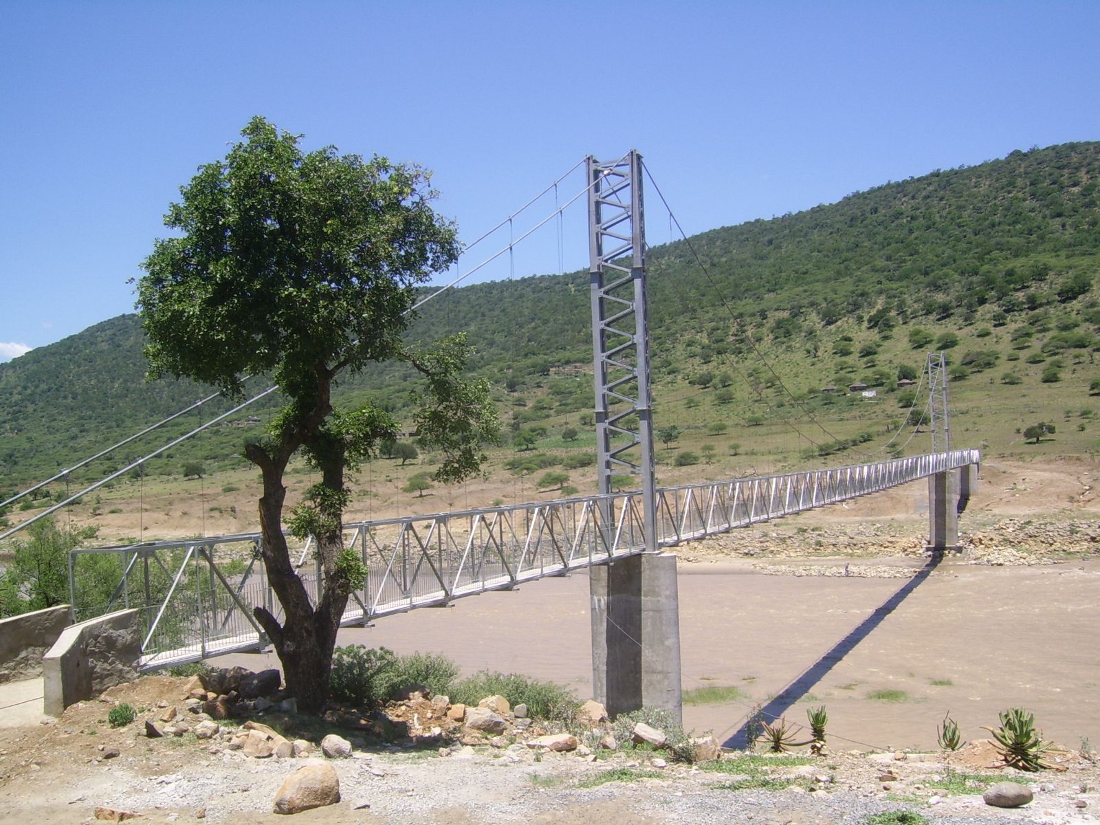 4999_341447.JPG
