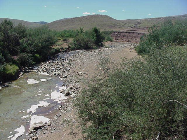 4999_341531.jpg