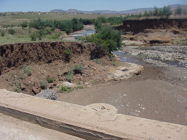 4999_341543.jpg
