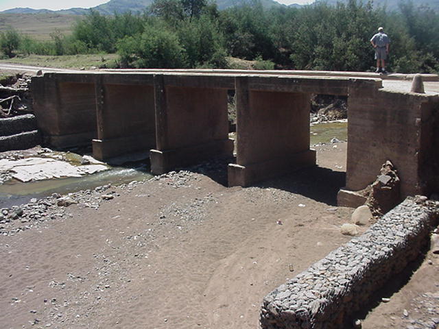 4999_341553.jpg