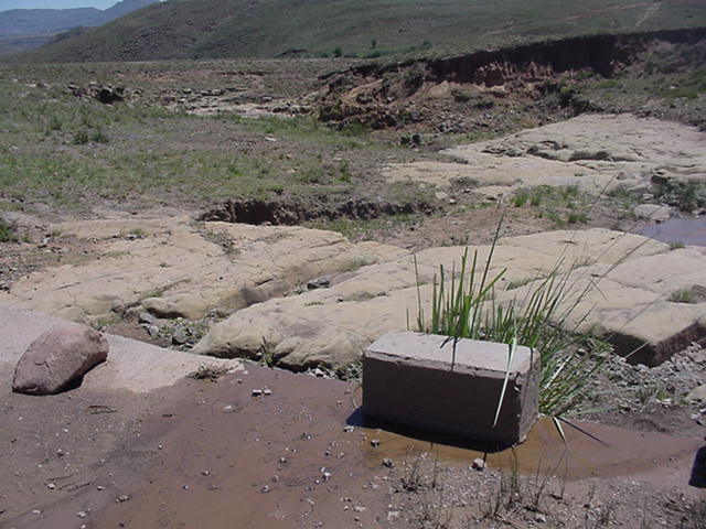 4999_34159.jpg