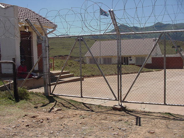 4999_351529.jpg