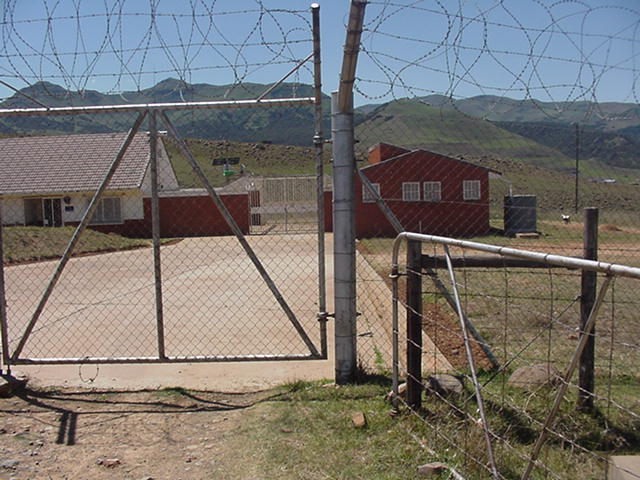 4999_351540.jpg