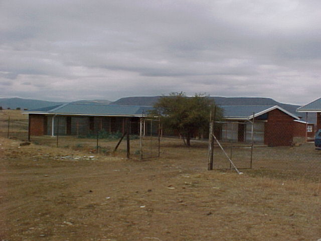 4999_361520.JPG