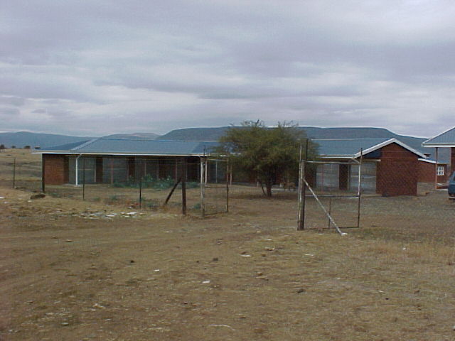 4999_361529.JPG