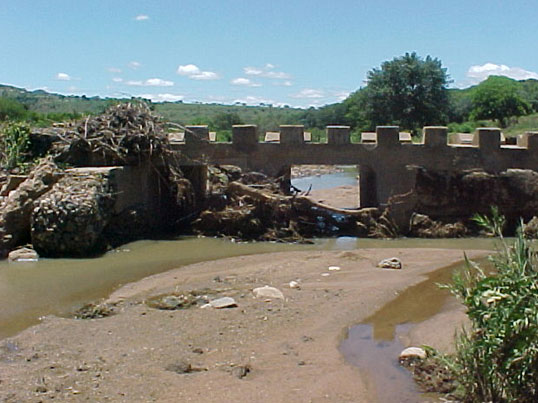 4999_381515.jpg