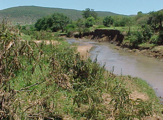 4999_381539.jpg