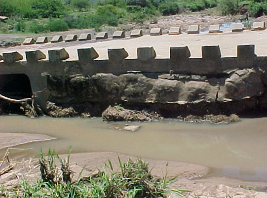 4999_381554.JPG