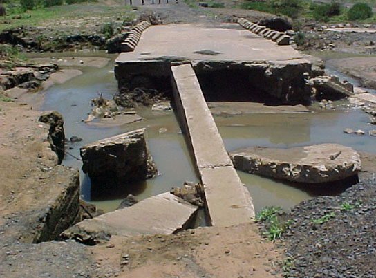 4999_391515.jpg