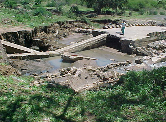 4999_391523.jpg