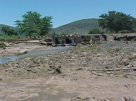 4999_391534.jpg