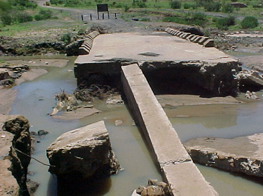 4999_39154.jpg