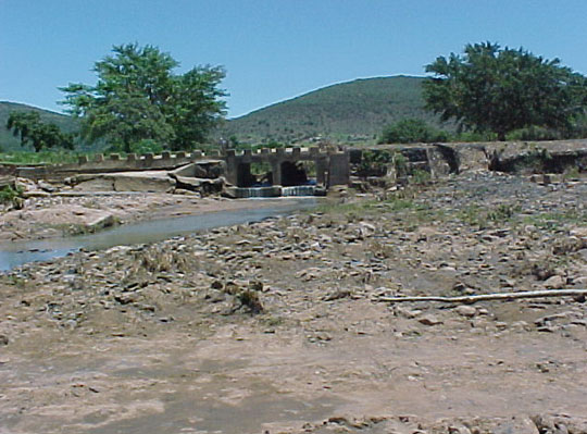4999_391545.jpg