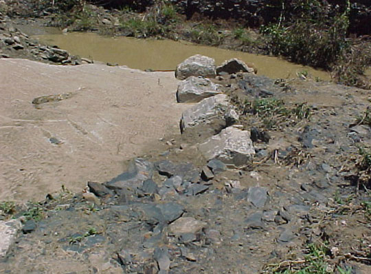4999_391555.jpg