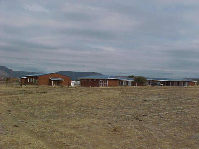 4999_39158.JPG