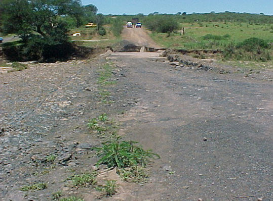 4999_401520.jpg