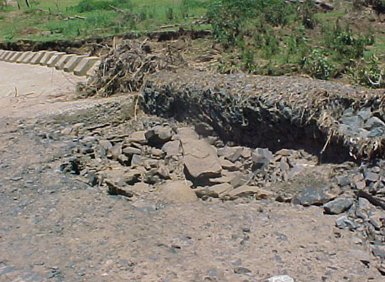 4999_401533.jpg