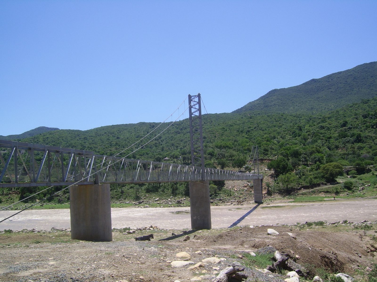 4999_41147.JPG