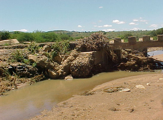 4999_421510.jpg