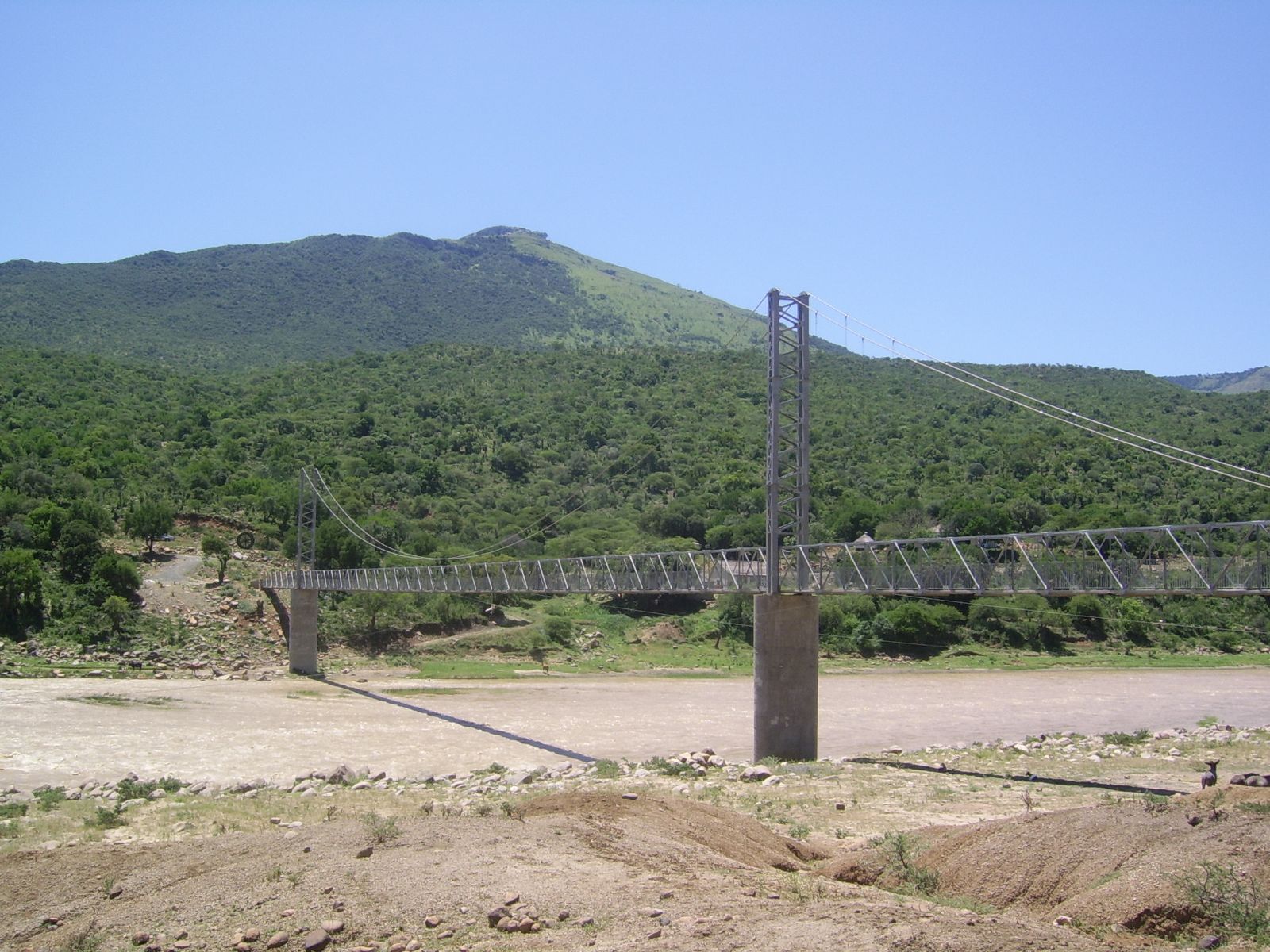 4999_461424.JPG