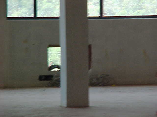 4999_481551.JPG