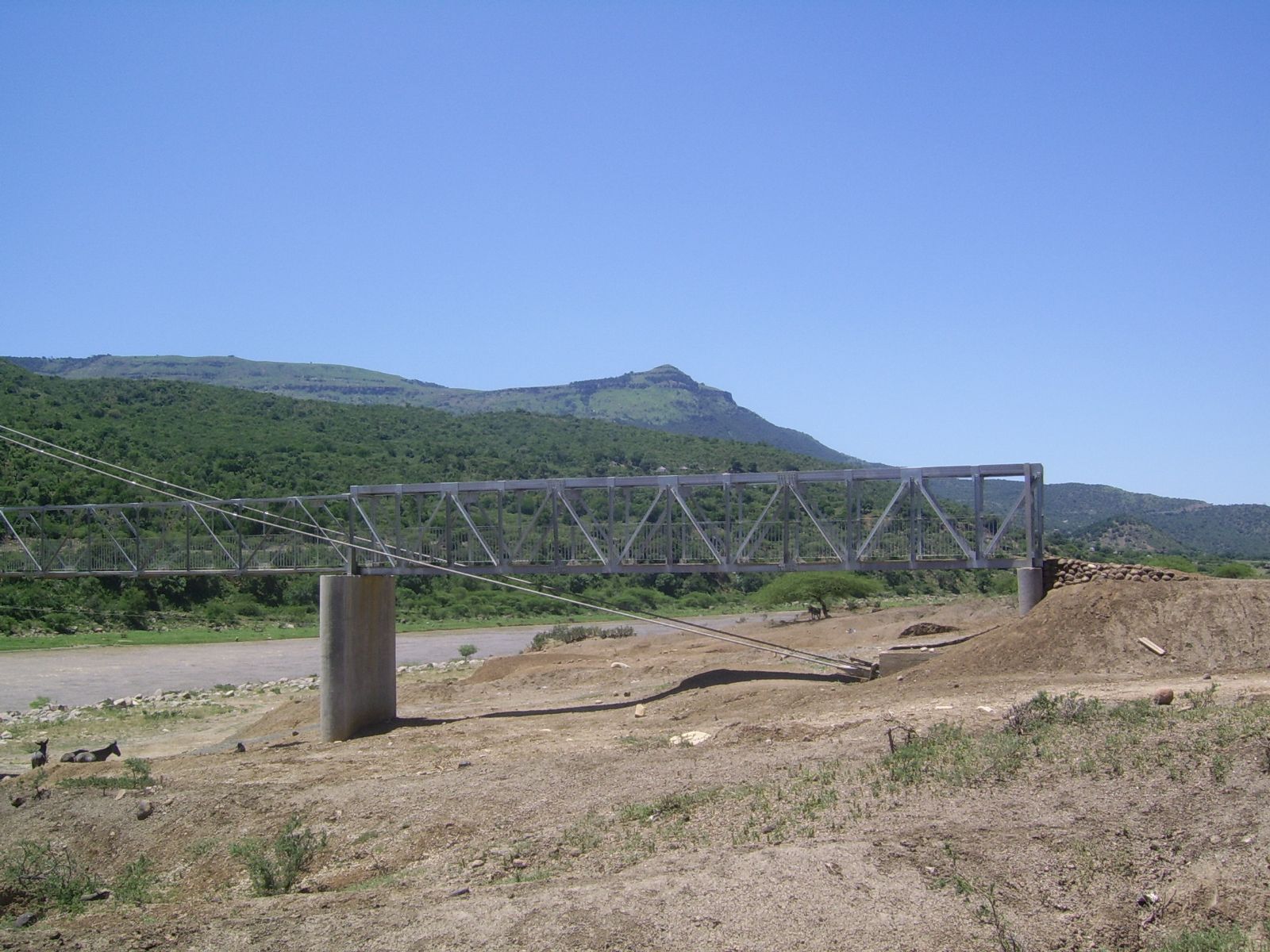 4999_491414.JPG