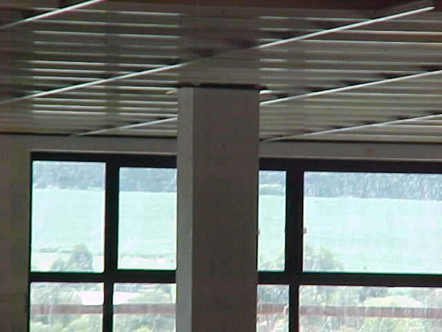 4999_49158.JPG