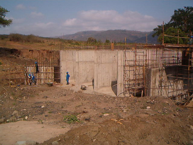 4999_491639.jpg