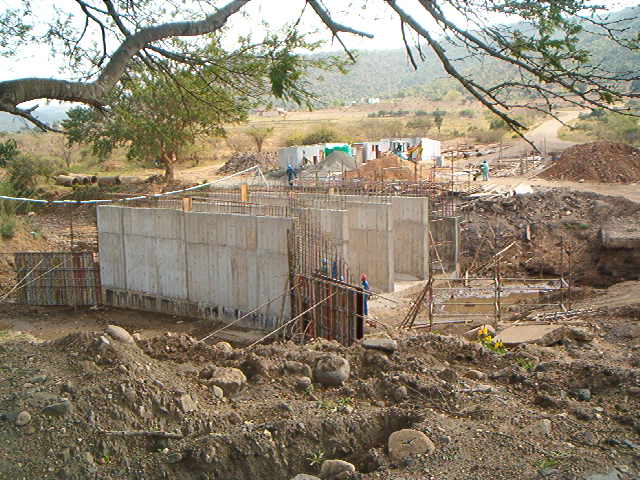 4999_501623.jpg