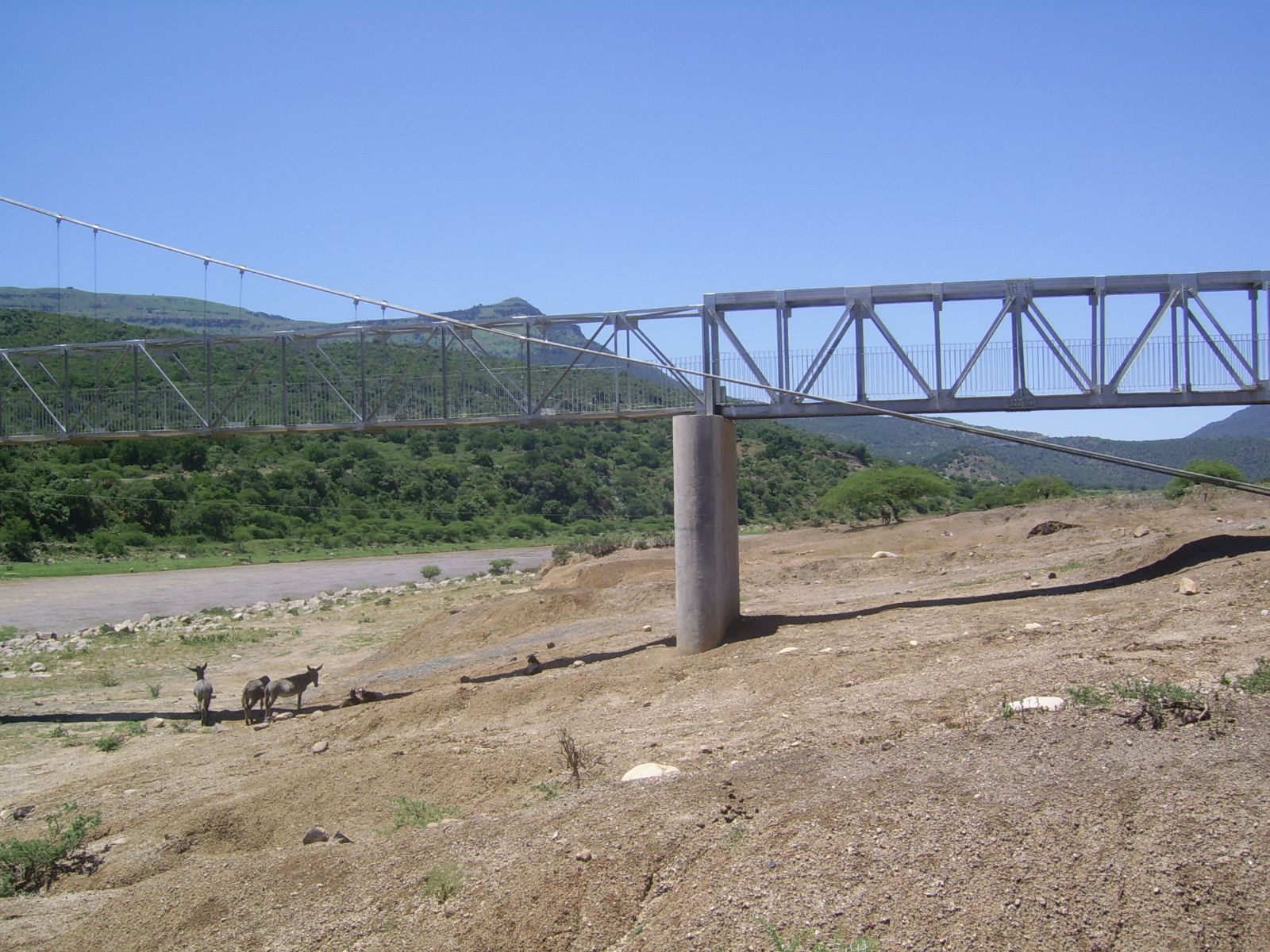 4999_521415.JPG
