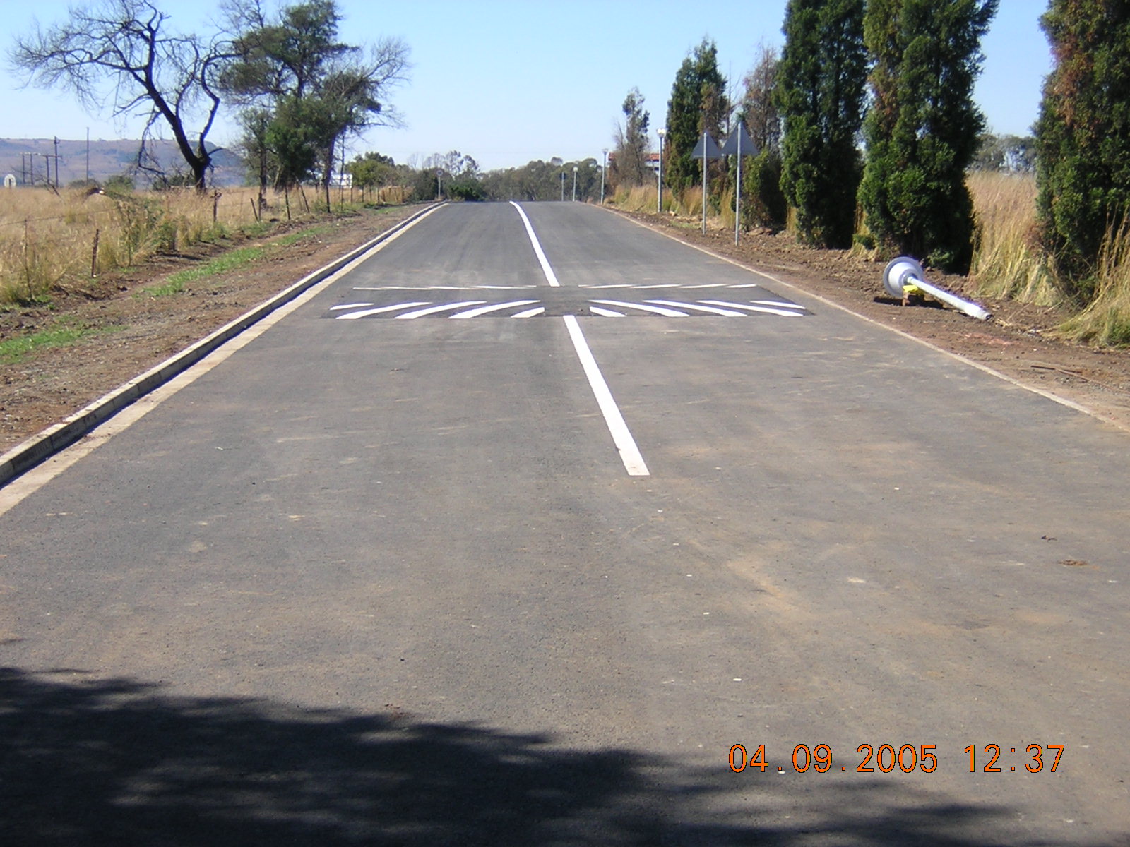 4999_541417.JPG